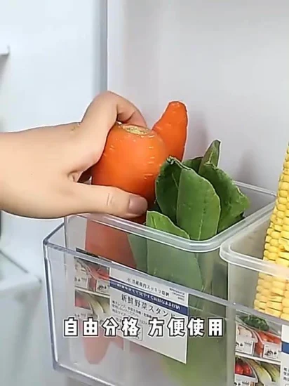 Novos acessórios de cozinha geladeira caixas de armazenamento de alimentos